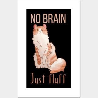 No Brain, Just Fluff - Red American Curl Posters and Art